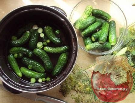Як швидко приготувати малосольні огірки в каструлі: рецепти з готовністю від 30 хвилин до кількох діб