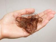 Яка норма випадання волосся на день у людини