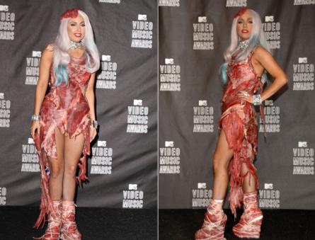 Найбільш екстравагантне вбрання леді Гага (21 фото) Леді гага з живих хом'яків