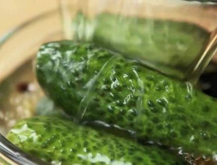 Як приготувати огірки малосольні окропом?