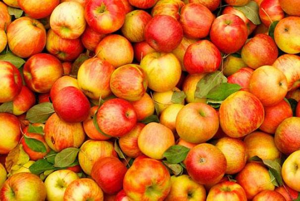 Jak zvariti smachne varennya su obuolių griežinėliais prozore: receptas žiemai