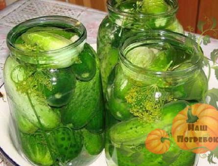 Marinuoti agurkai žiemai su citrinos rūgštimi: 4 receptai litro indelyje