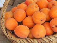 Apricot чанамал: Өвлийн улиралд сойзгүй, сойзтой чангаанзны чанамал хийх 11 жор