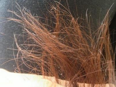 क्षतिग्रस्त बालों के लिए घरेलू मास्क